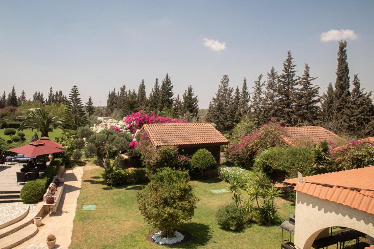 Dar Zitouna Sousse-Tunisie Buitenkant foto