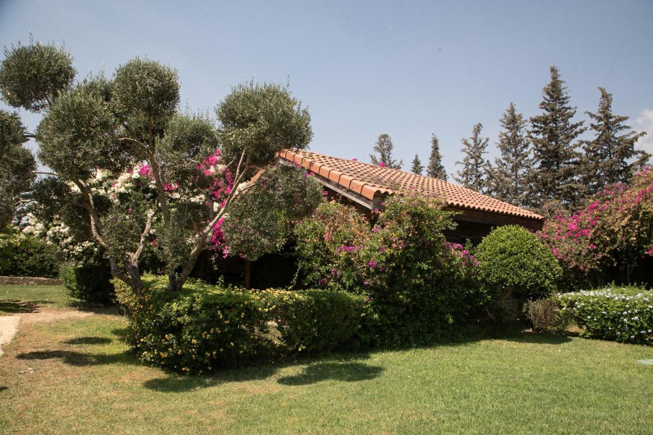Dar Zitouna Sousse-Tunisie Buitenkant foto