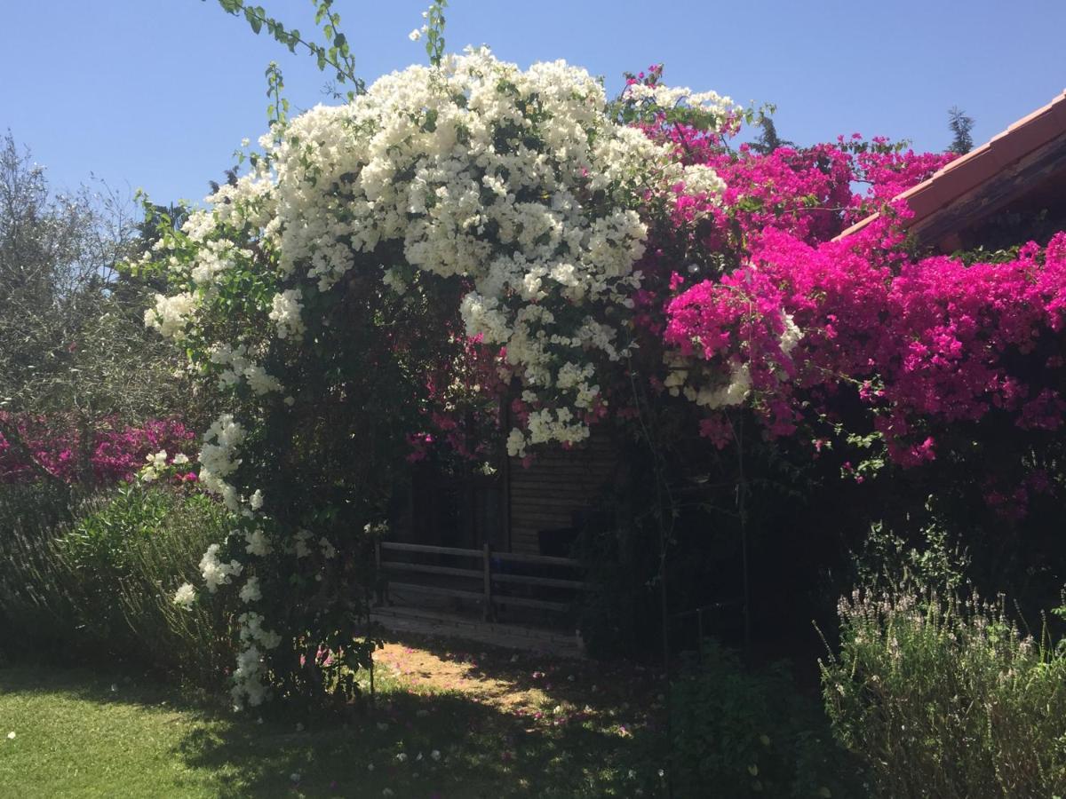 Dar Zitouna Sousse-Tunisie Buitenkant foto