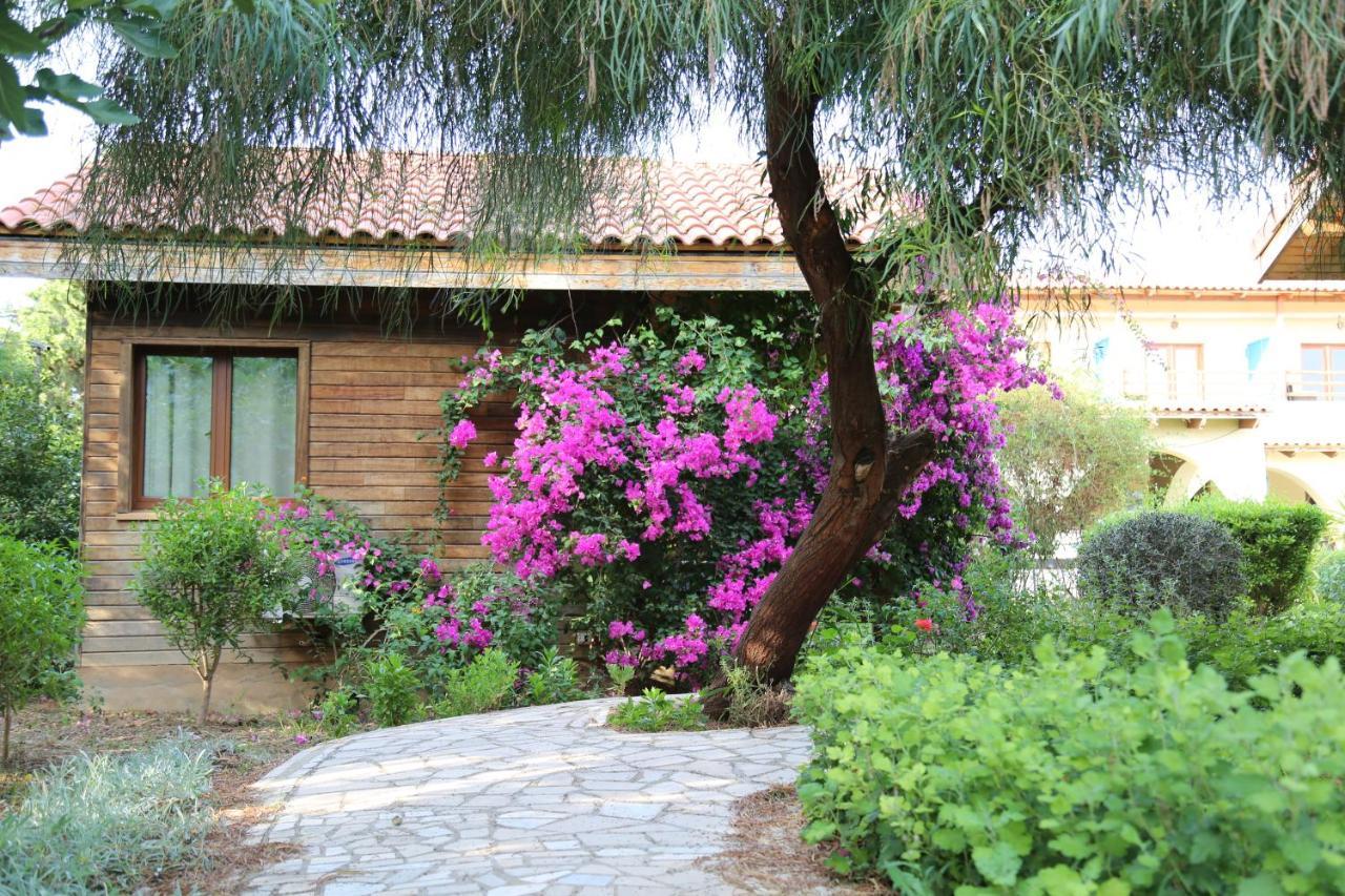 Dar Zitouna Sousse-Tunisie Buitenkant foto